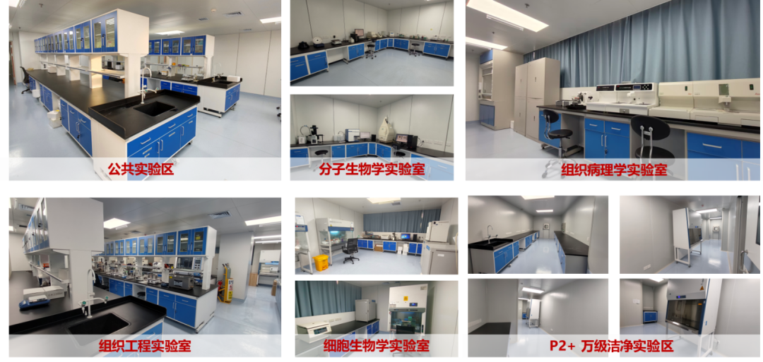 解放军总医院第四医学中心烧伤整形医学部：救生命于水火卫勤先锋谱忠诚；抚伤痕于无形大医精诚塑新生