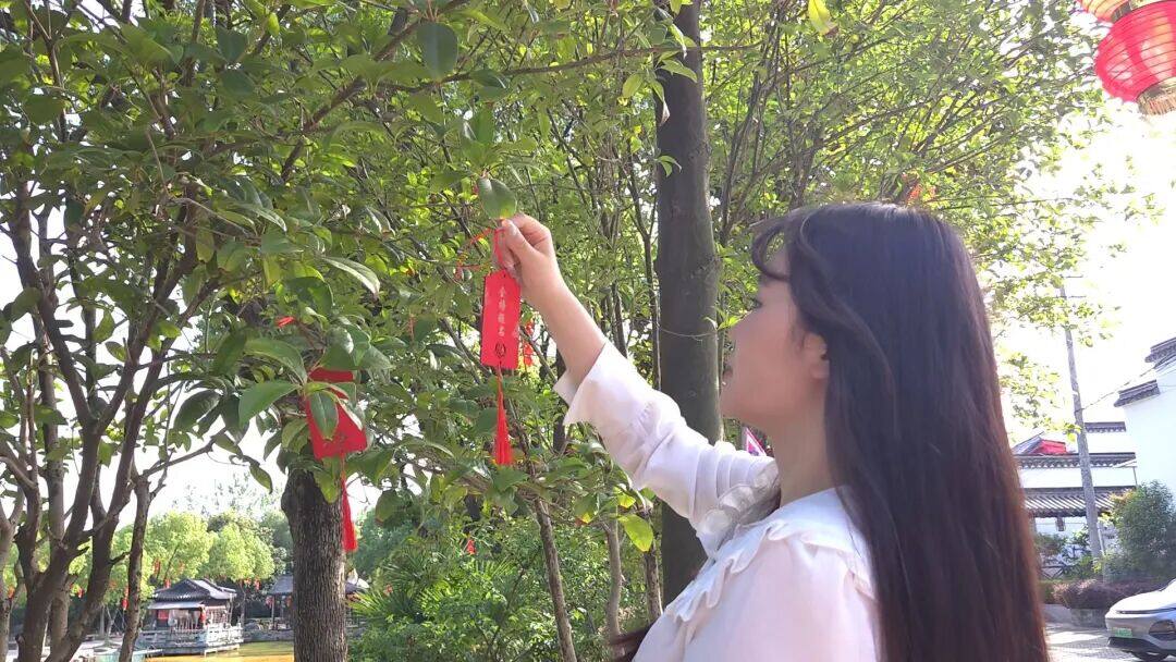 【海学之心】坚信自己是“气运之子”!考前换院校,马理论学姐依旧高分上岸! - 内容图片 13